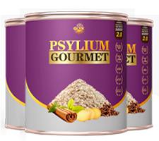 3 Potes PSYLLIUM GOURMET