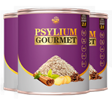 3 Potes PSYLLIUM GOURMET